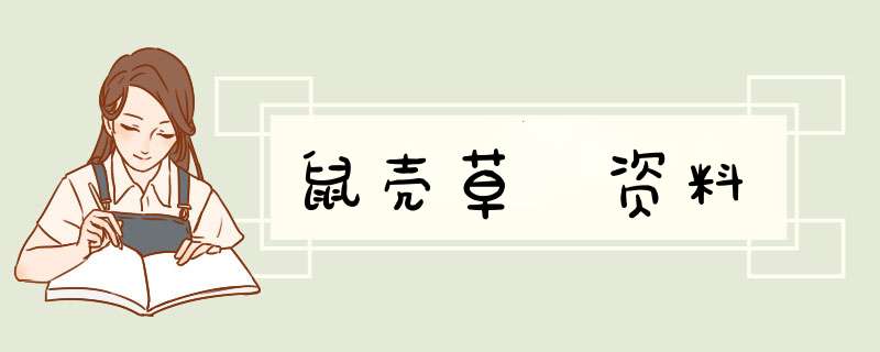 鼠壳草 资料,第1张